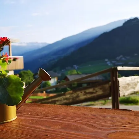 Gemshorn 海因岑贝格