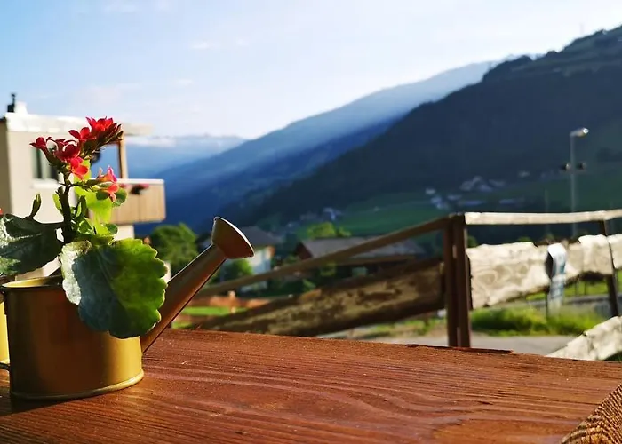 Gemshorn Hainzenberg