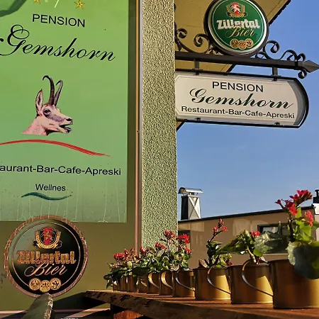 Gemshorn Pensionat 3*